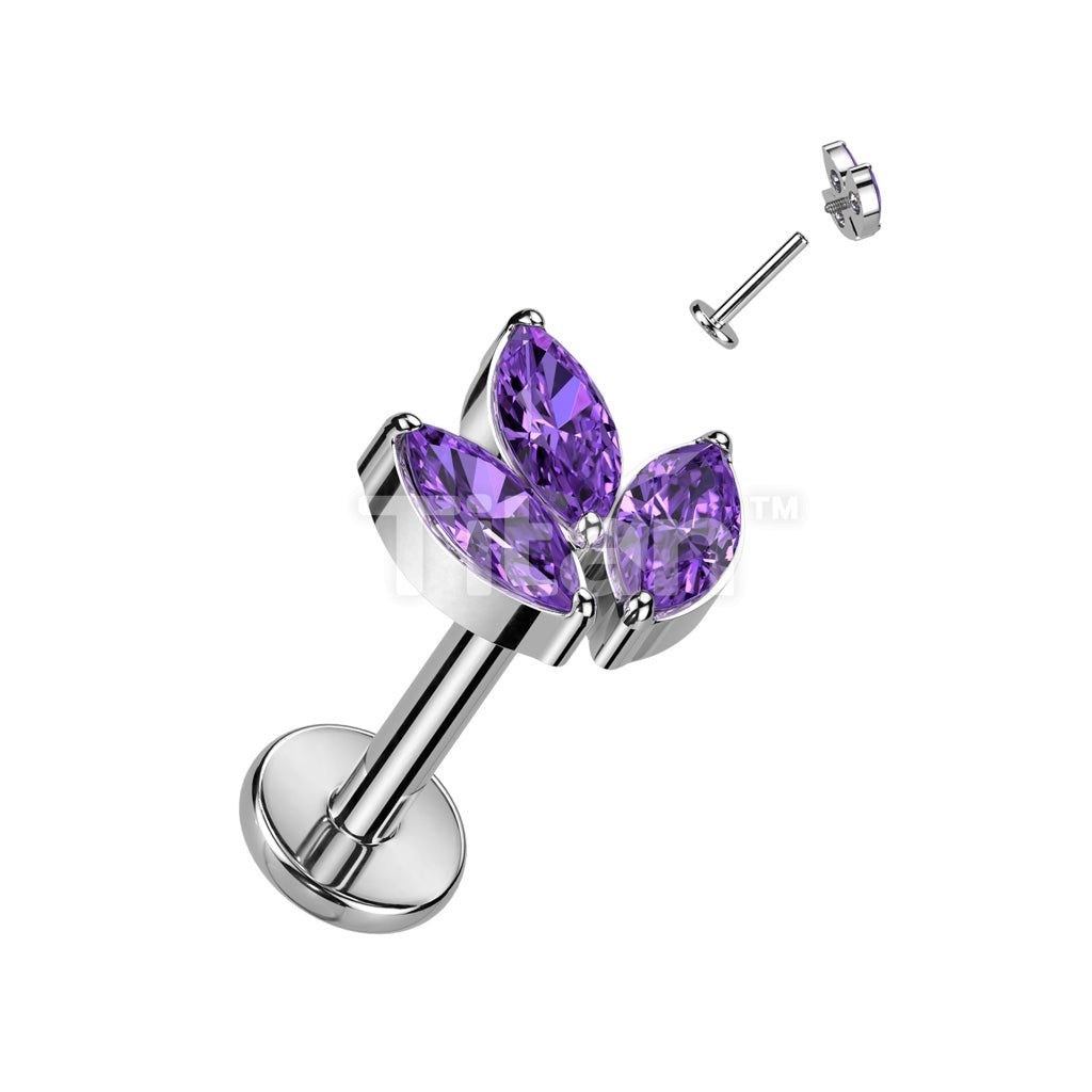 ASTM F136 Titanium Implant Grade Titanium Internally Threaded With 3... - Image 2