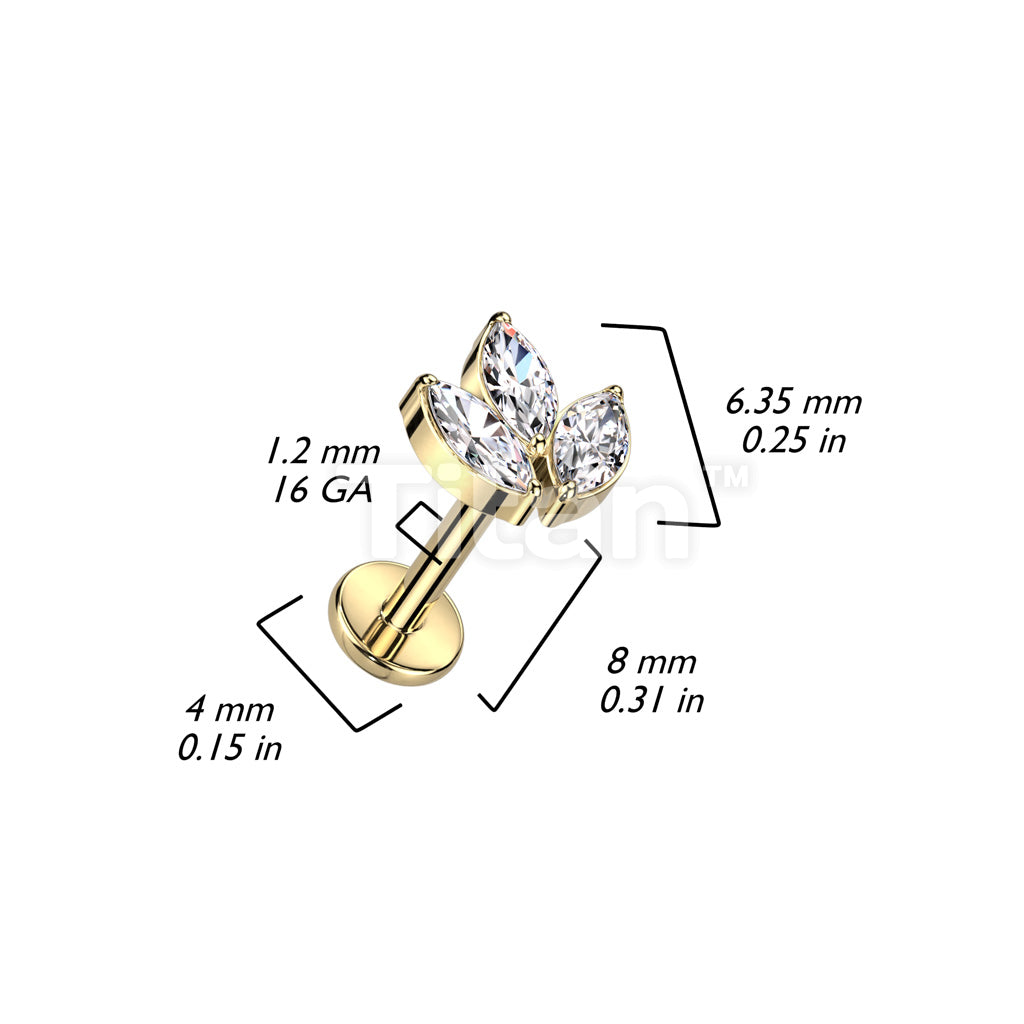 ASTM F136 Titanium Implant Grade Titanium Internally Threaded With 3... - Image 9