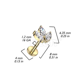ASTM F136 Titanium Implant Grade Titanium Internally Threaded With 3... - Image 9