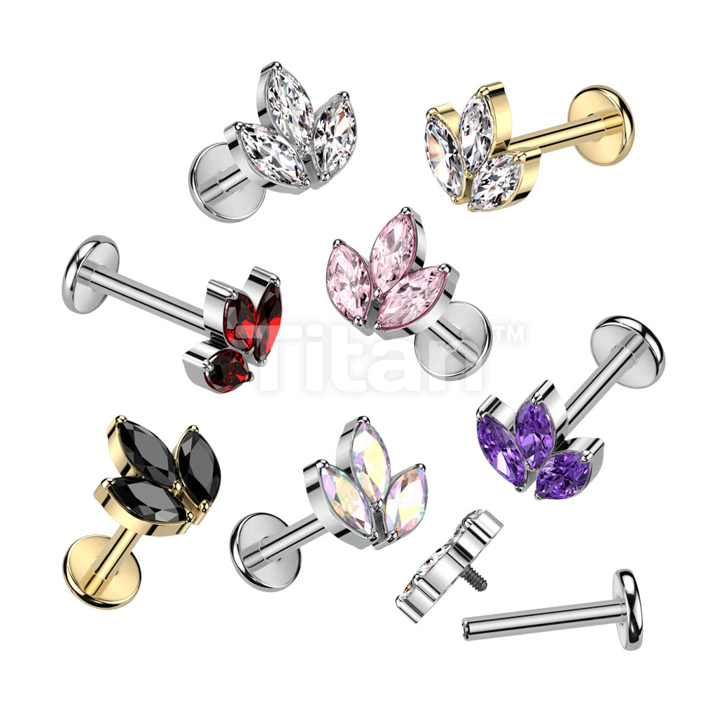 ASTM F136 Titanium Implant Grade Titanium Internally Threaded With 3...