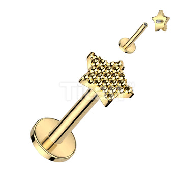 Implant Grade Titanium Internally Threaded Labret With Bumped Cut Star Top - Image 2