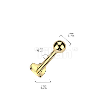 ASTM F136 Titanium Implant Grade Titanium Internally Threaded Heart... - Image 6