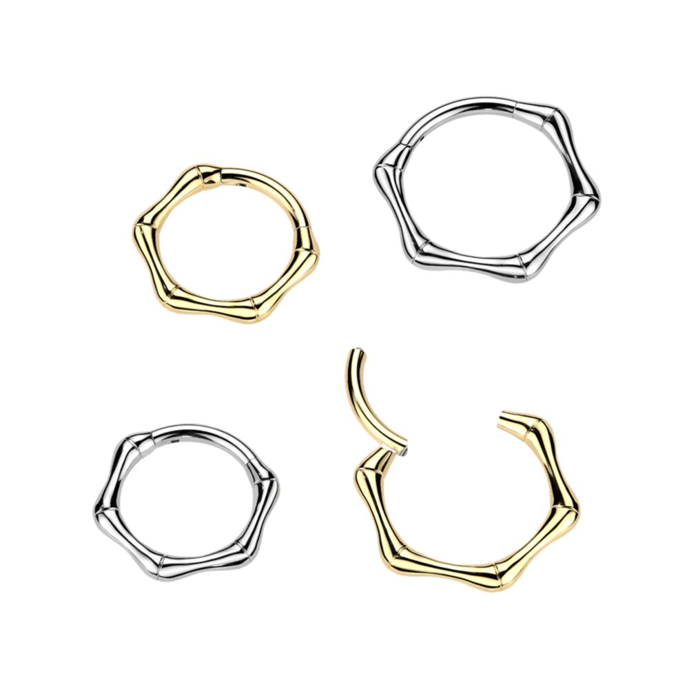 Titanium Hinged Bone Segment Hoop Ring