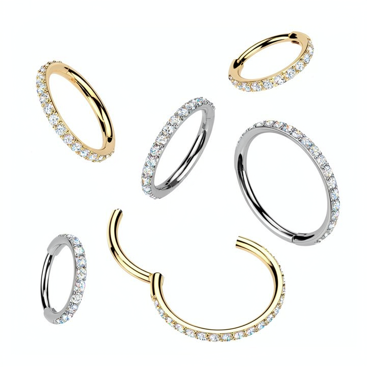 Titanium Hinged Segment Hoop Ring With Outward Facing Moissanite Pave CNC Set