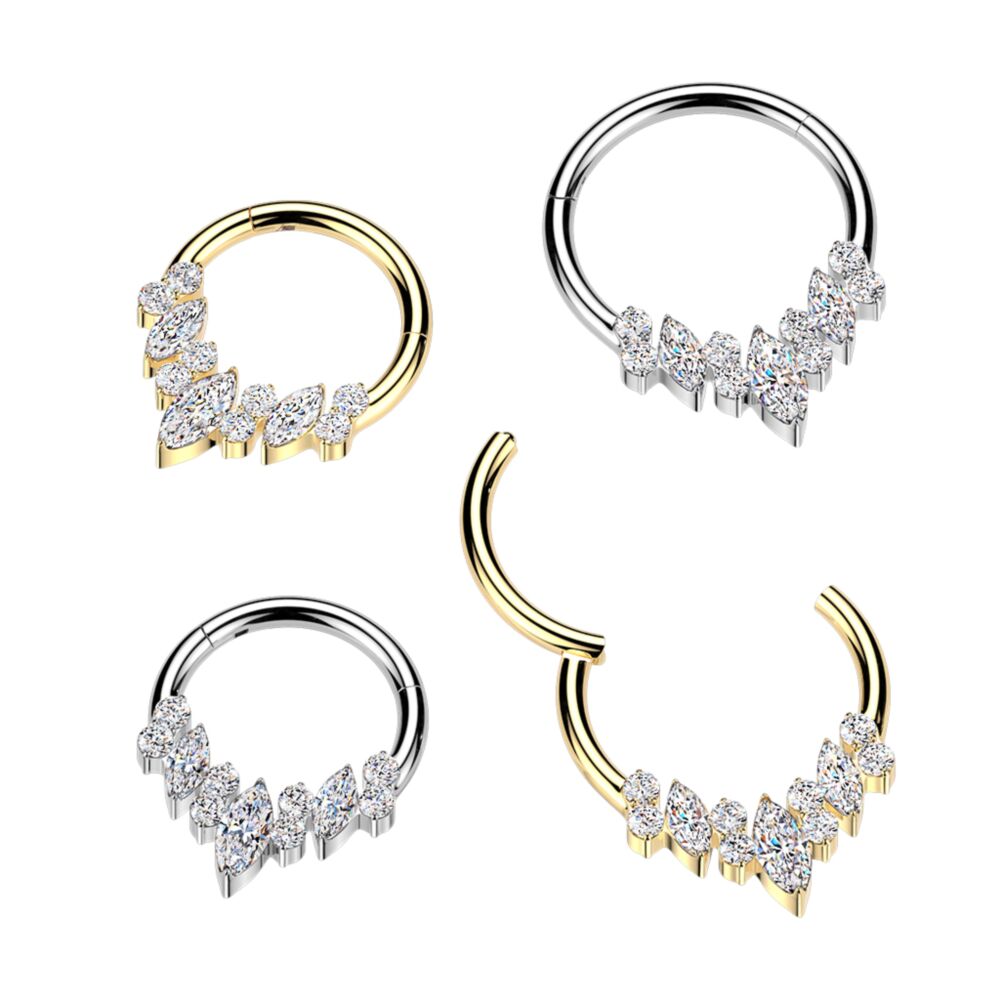 Titanium Mixed CZ Fan Hinged Clicker Segment Hoop Ring
