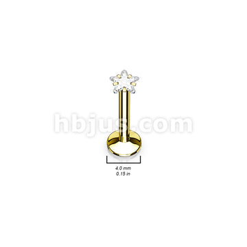 4 Pcs Value Pack Internally Threaded Star Prong Top Gem Labret Monroe Titanium IP Over 316L Surgical Steel  - Image 5