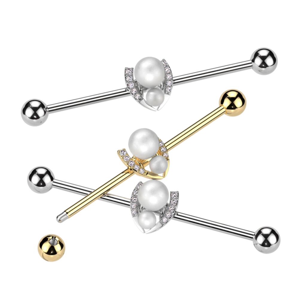 316L Surgical Steel 316L Surgical Steel Industrial Barbell With Double...