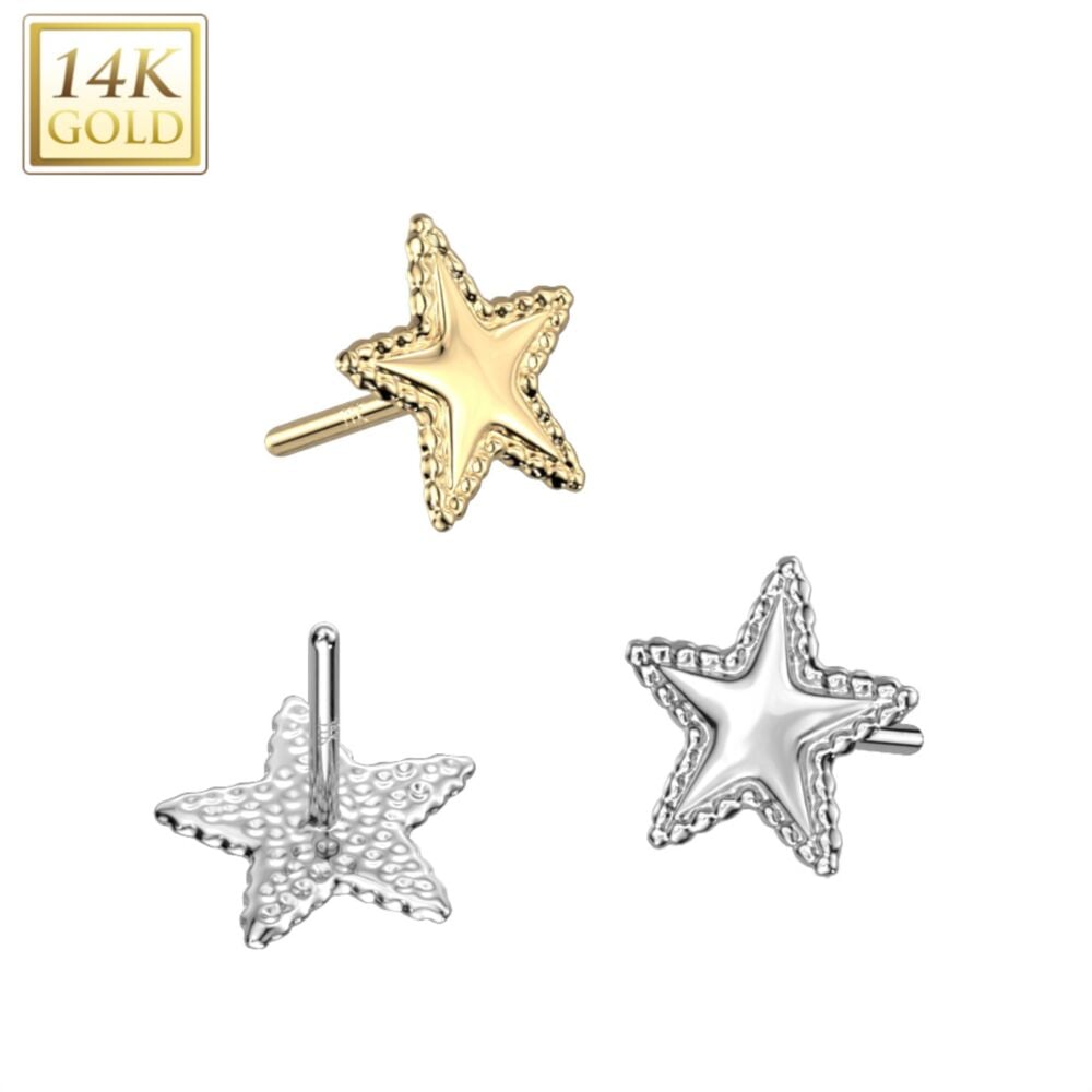 14K Gold Threadless Push In Star Top With Flat Beaded Edge