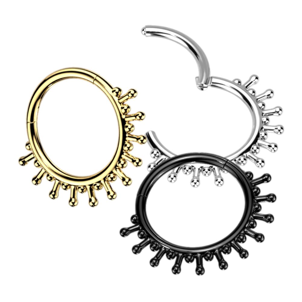 High Quality Precision 316L Surgical Steel Hinged Segment Ring with...
