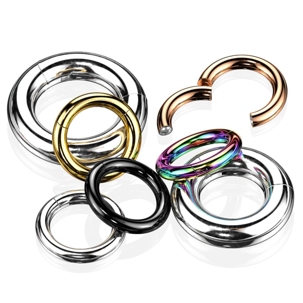 316L Surgical Steel Large Gauge Hinged Clicker Segment Ring. New...