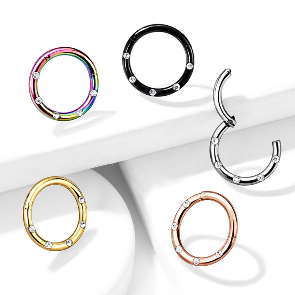 316L Surgical Steel Hinged Segment Hoop Rings with 5 Flush Set Front...
