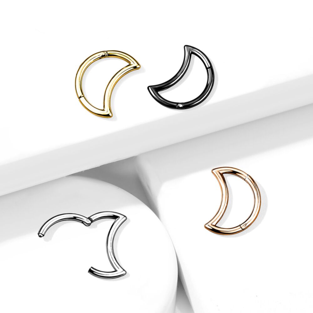 High Quality Precision All 316L Surgical Steel Crescent Hinged Segment...