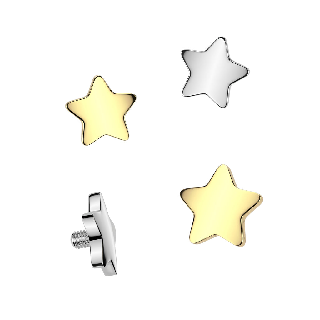 ASTM F136 Titanium Implant Grade Titanium Internally Threaded Flat Star Top
