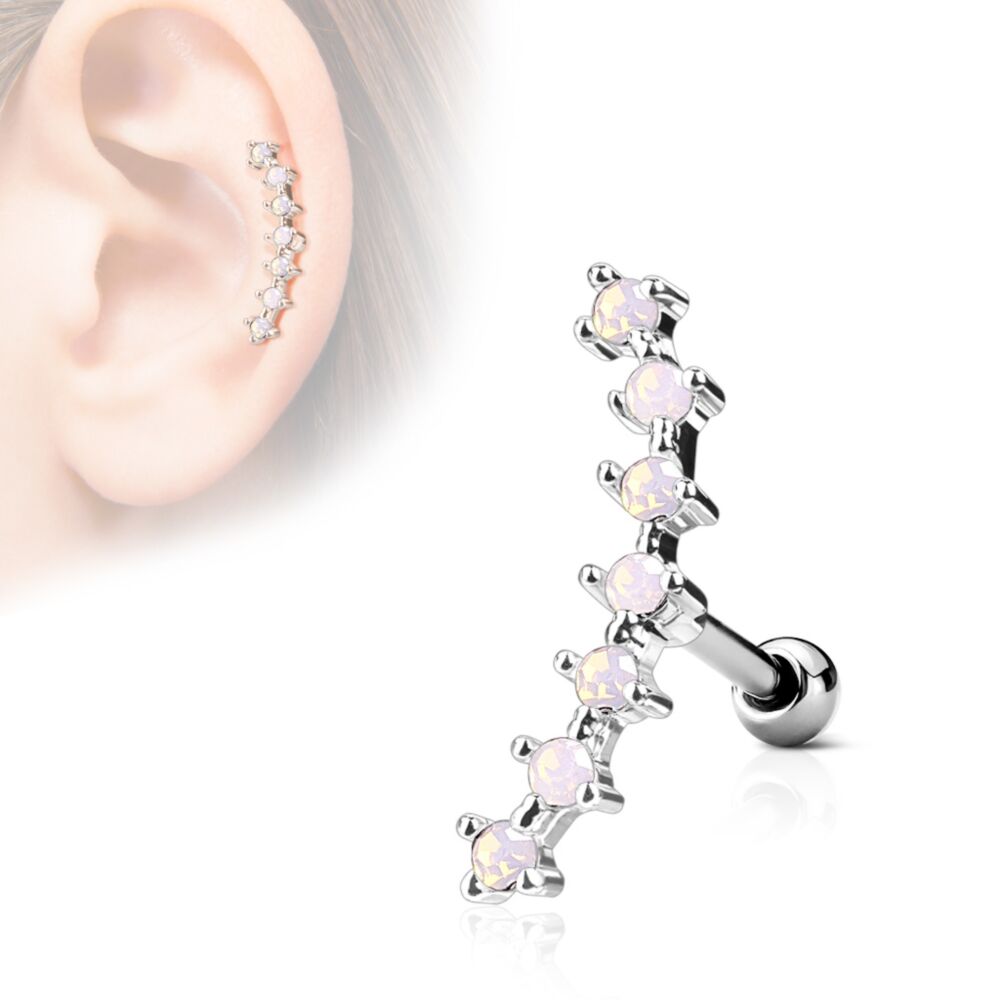 316L Surgical Steel Lined CZ Curve Top 316L Surgical Steel Ear...