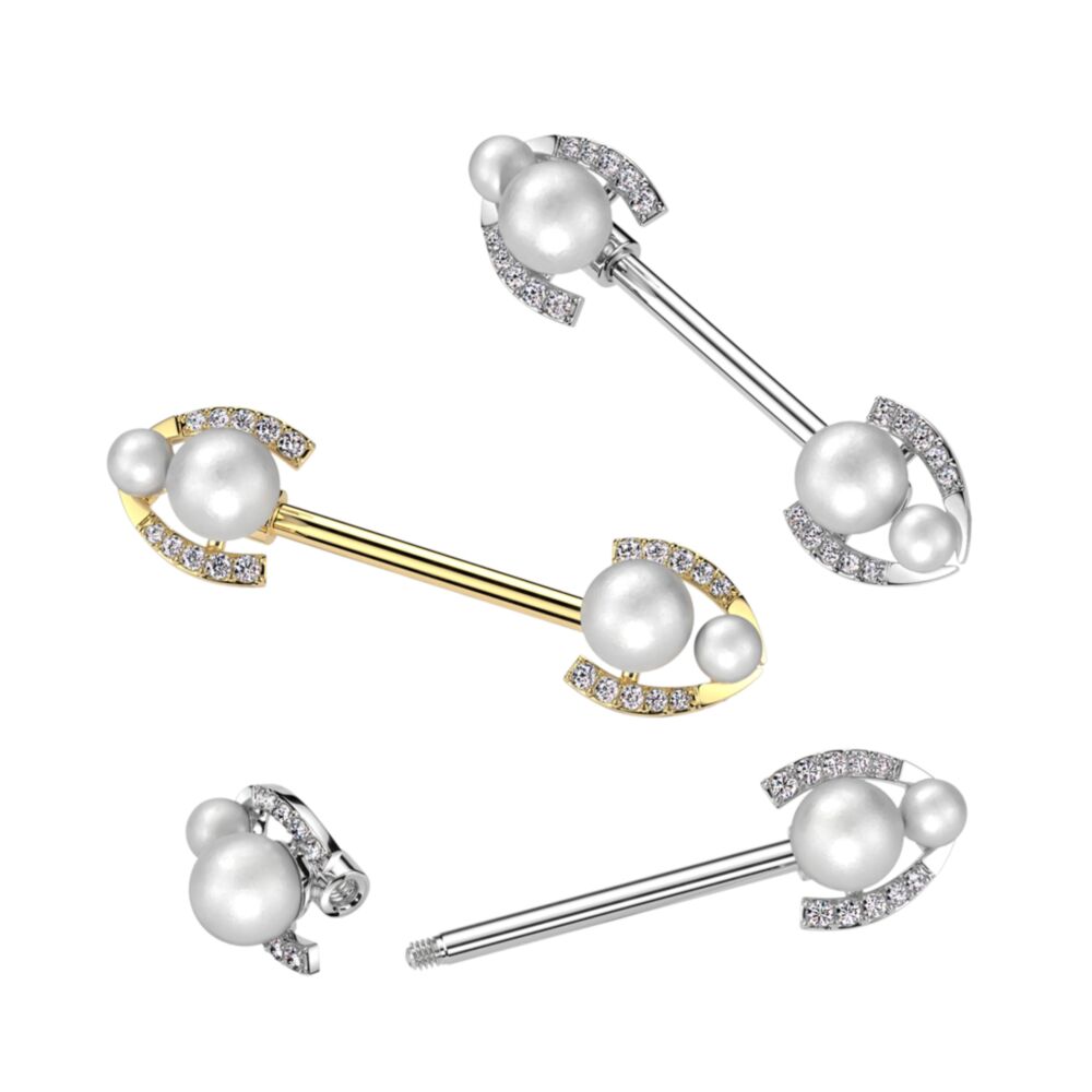 316L Surgical Steel 316L Surgical Steel Nipple Barbell With Double...