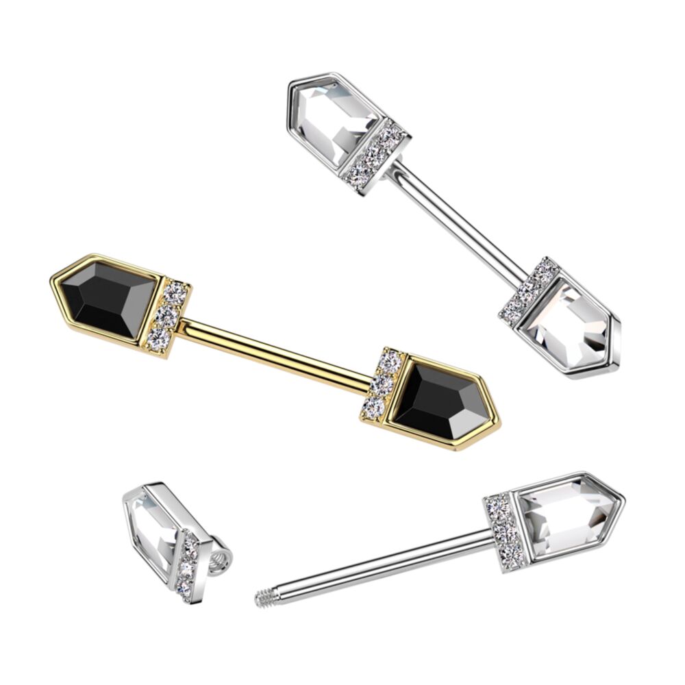 316L Surgical Steel 316L Surgical Steel Nipple Barbell With Black...