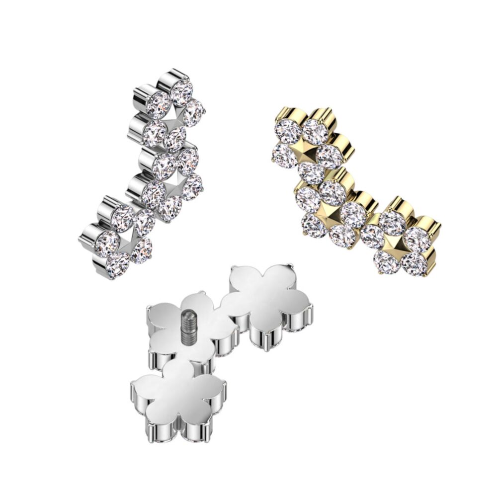 ASTM F136 Titanium Implant Grade Titanium Internally Threaded Triple CZ...