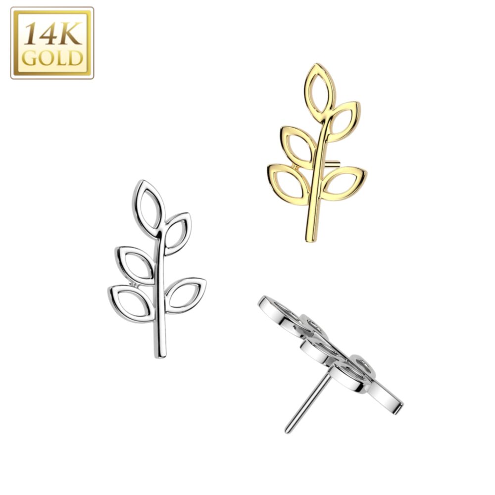 14K Gold Threadless Push In Hollow Olive Leaf Top