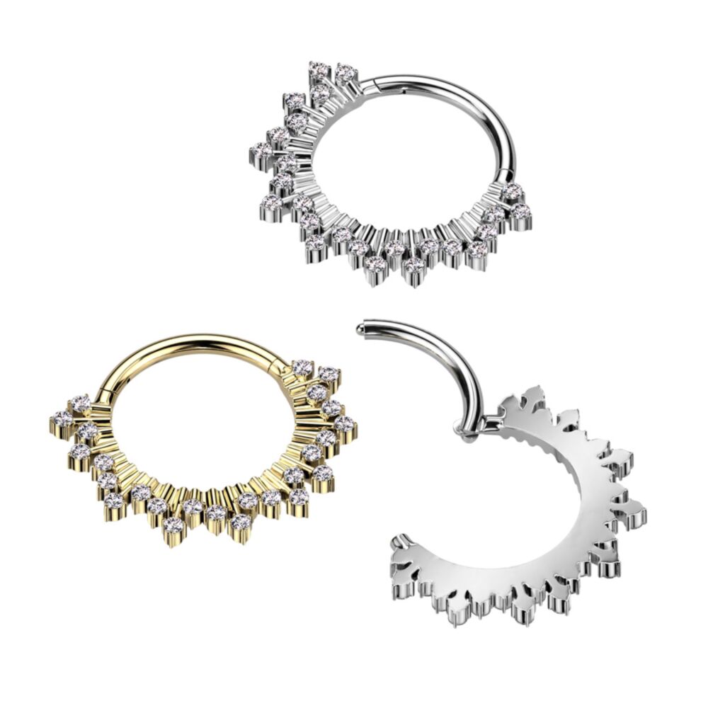 High Quality Precision 316L Surgical Steel Hinged Segment Ring With CZ Fan