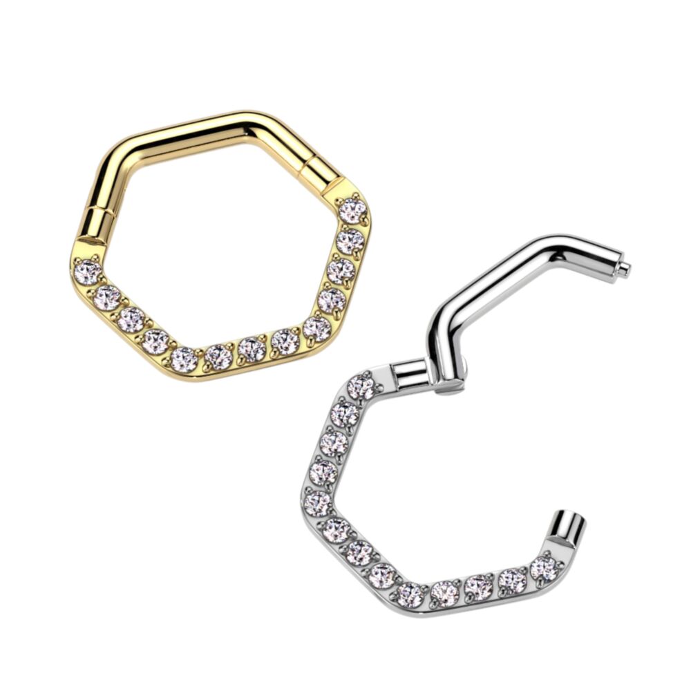 High Quality Precision All 316L Surgical Steel Hinged Hexagon Segment...