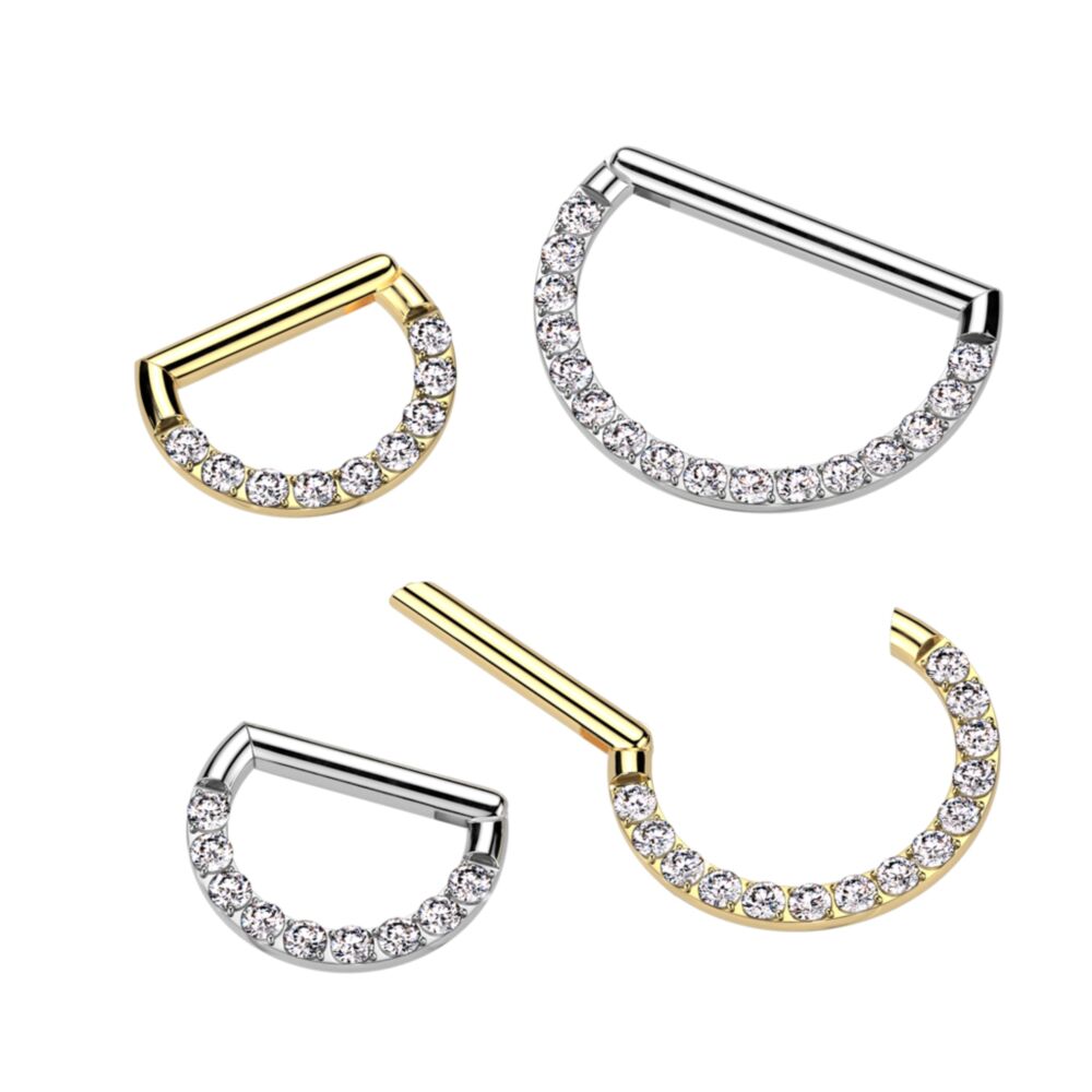 Implant Grade Titanium D Shaped Hinged Segment Ring With Forward Facing CNC CZ Set