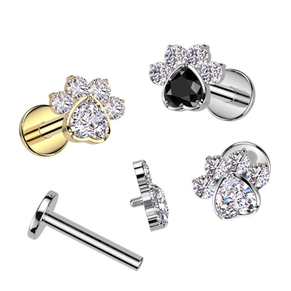 Implant Grade Titanium Internally Threaded Flat Back Stud With CZ Heart And 4 CZ Paw Top